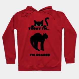 Cat feel scared Hoodie